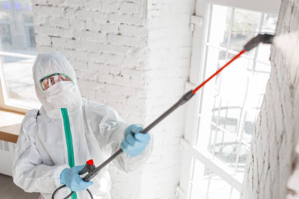 Best Asbestos and Lead Testing During Mold Inspection  in Union Beach, NJ