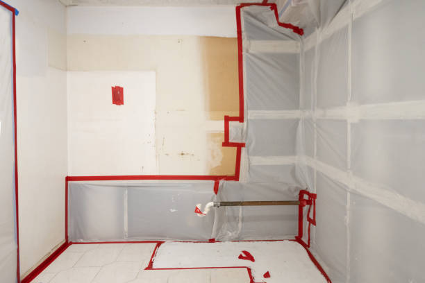 Best Mold Odor Removal Services  in Union Beach, NJ