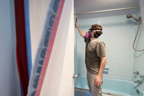 Best Black Mold Removal  in Union Beach, NJ