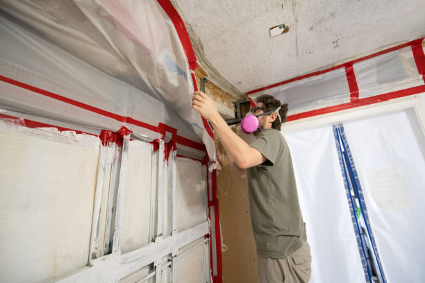  Union Beach, NJ Mold Removal Pros