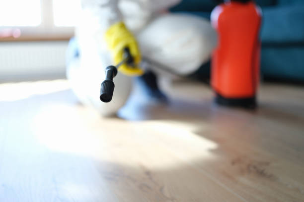 Best Commercial Mold Inspection  in Union Beach, NJ