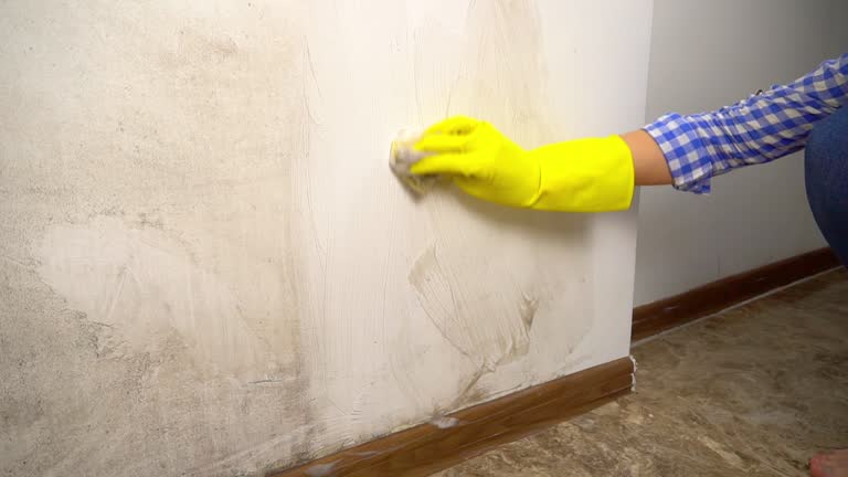 Best Mold Removal for HVAC Installations  in Union Beach, NJ