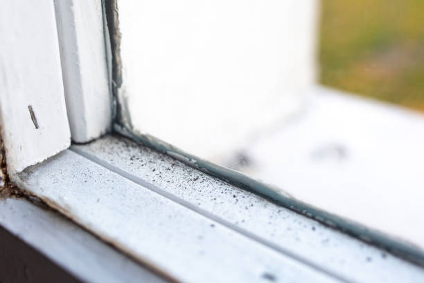 Best Residential Mold Inspection & Testing  in Union Beach, NJ