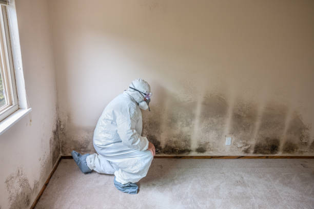 Best Biohazard Mold Removal  in Union Beach, NJ