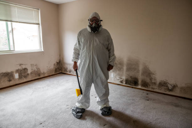 Best Airborne Mold Testing  in Union Beach, NJ