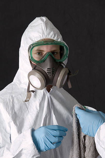 Best Comprehensive Air Testing for Mold Contaminants  in Union Beach, NJ