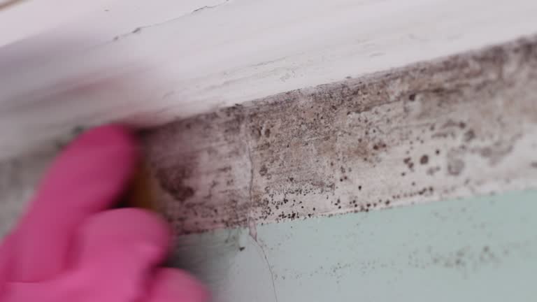 Best Post-Remediation Verification Testing  in Union Beach, NJ
